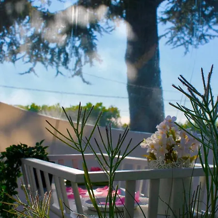 Dormire Sotto Le Stelle Glamping